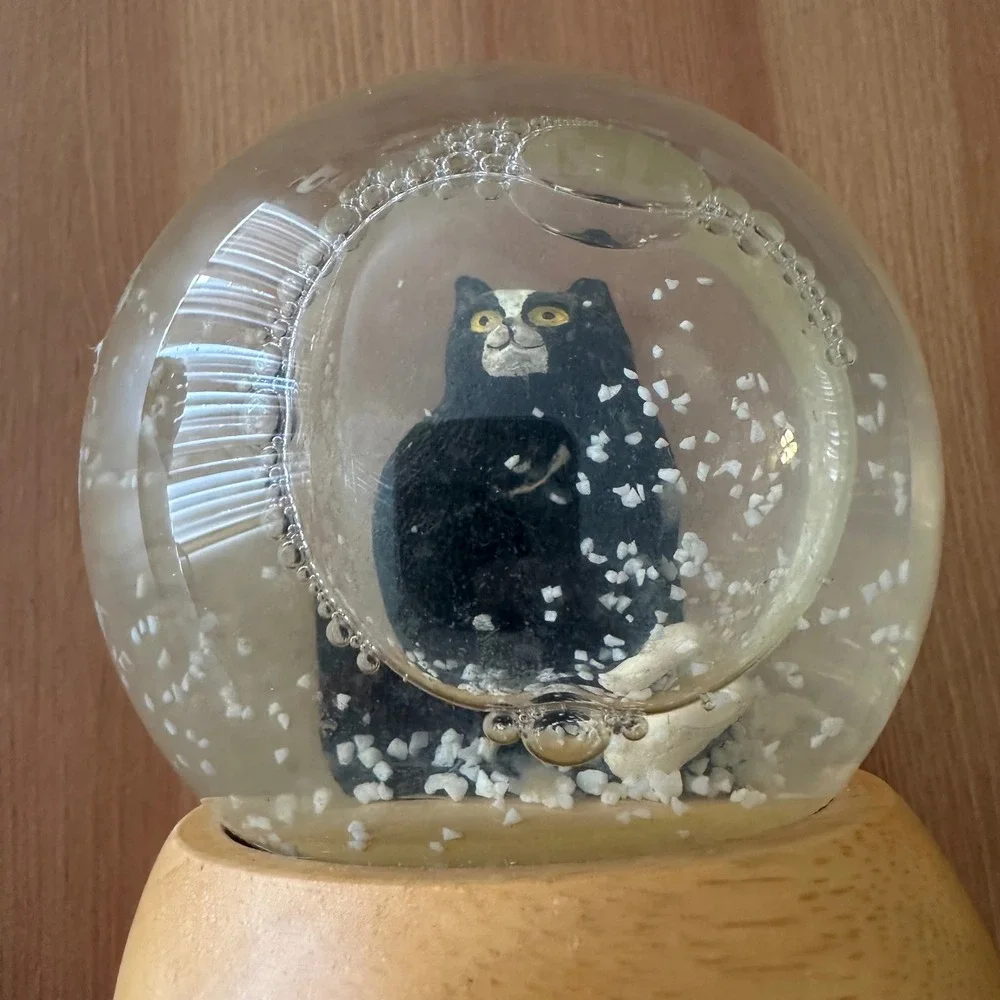 Pottery Barn Tuxedo Cat Snow Globe Wood Base Black White Grumpy Kitty Decor